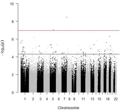 Epigenome-Wide Analyses Identify Two Novel Associations With Recurrent Stroke in the Vitamin Intervention for Stroke Prevention Clinical Trial